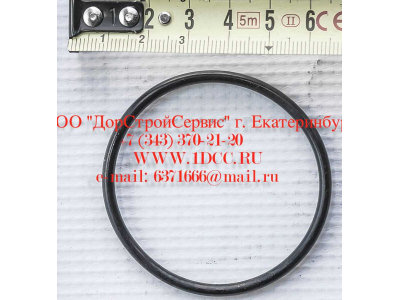 Кольцо уплотнительное ø346х3.5 гидромуфты ГТР CDM 855, 843 Lonking CDM (СДМ) 402236 фото 1 Ростов-на-Дону