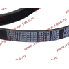 Ремень 8PK1160 SH (612600061295) SHAANXI / Shacman (ШАНКСИ / Шакман) 612600061752 фото 2 Ростов-на-Дону